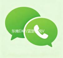 东南DX7/蓝瑟菱悦V3凌致V5菱帅1.5L原装60AH瓦尔塔蓄电池汽车电瓶